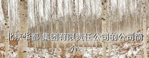 北京華都 集團有限責任公司的公司簡介