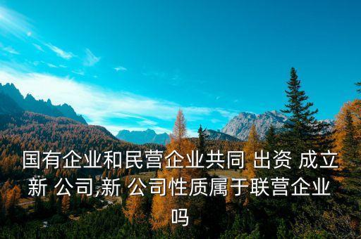 國有企業(yè)和民營企業(yè)共同 出資 成立新 公司,新 公司性質屬于聯營企業(yè)嗎