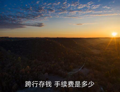 中國農(nóng)業(yè)銀行異地存取款手續(xù)費(fèi)