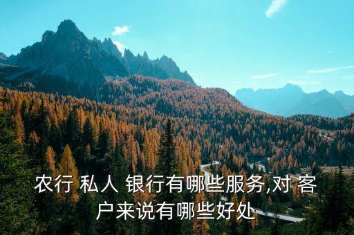 農行 私人 銀行有哪些服務,對 客戶來說有哪些好處
