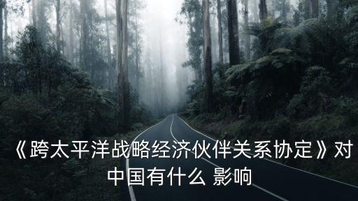 《跨太平洋戰(zhàn)略經(jīng)濟伙伴關(guān)系協(xié)定》對中國有什么 影響