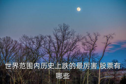 世界范圍內歷史上跌的最厲害 股票有哪些