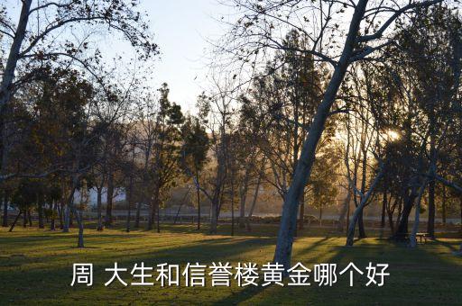 周 大生和信譽(yù)樓黃金哪個好
