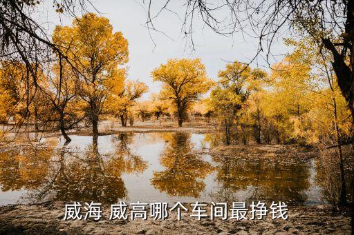威海 威高哪個車間最掙錢