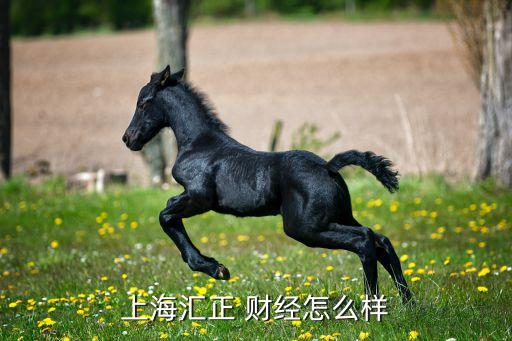 上海匯正 財(cái)經(jīng)怎么樣