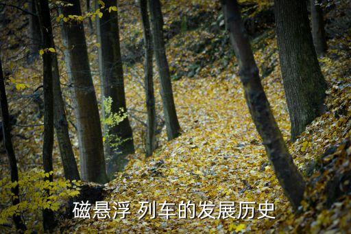 上?？罩辛熊?chē)技術(shù),上海懸掛式空中列車(chē)