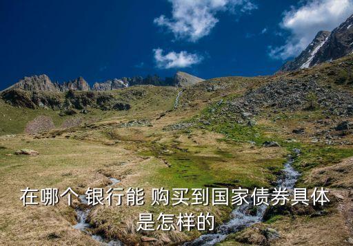 在哪個(gè) 銀行能 購買到國家債券具體是怎樣的