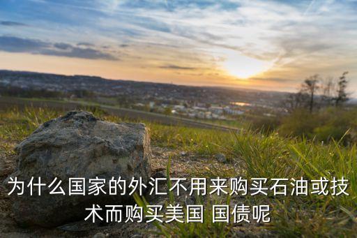 為什么國(guó)家的外匯不用來(lái)購(gòu)買石油或技術(shù)而購(gòu)買美國(guó) 國(guó)債呢