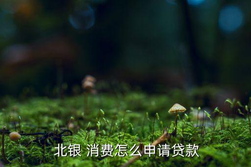  北銀 消費(fèi)怎么申請貸款