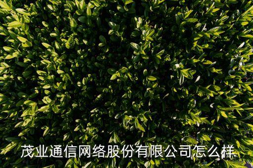  茂業(yè)通信網(wǎng)絡股份有限公司怎么樣