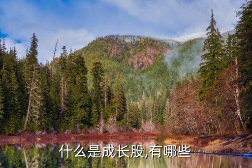 什么是成長(zhǎng)股,有哪些