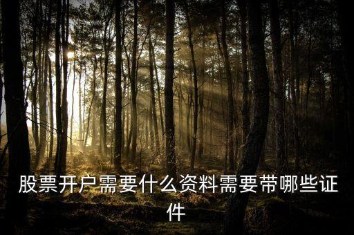 如何新開(kāi)股票賬戶,新開(kāi)股票賬戶不能買(mǎi)300開(kāi)頭的嗎