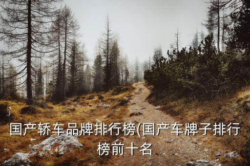 國(guó)產(chǎn)轎車(chē)品牌排行榜(國(guó)產(chǎn)車(chē)牌子排行榜前十名