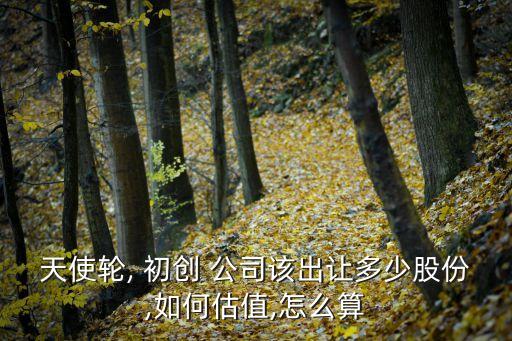 初創(chuàng)公司技術股占比,技術型初創(chuàng)公司