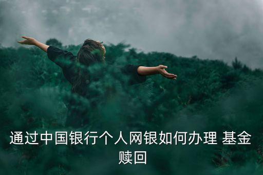 基金預約普通贖回