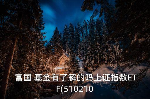 富國(guó)天瑞基金盤中估