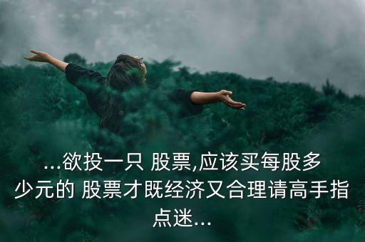 ...欲投一只 股票,應該買每股多少元的 股票才既經濟又合理請高手指點迷...
