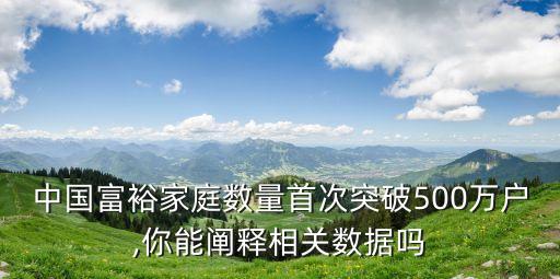中國擁有五百萬資產的人數,中國資產過五百萬的人數