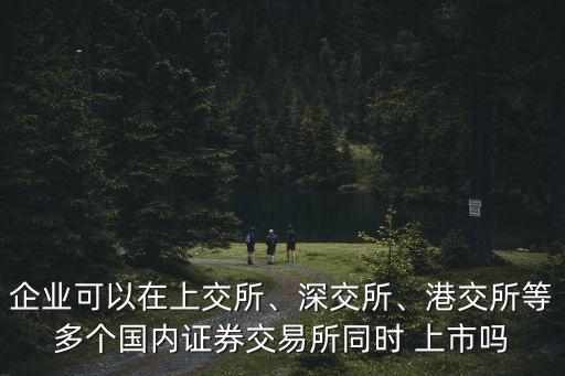 企業(yè)可以在上交所、深交所、港交所等多個國內證券交易所同時 上市嗎
