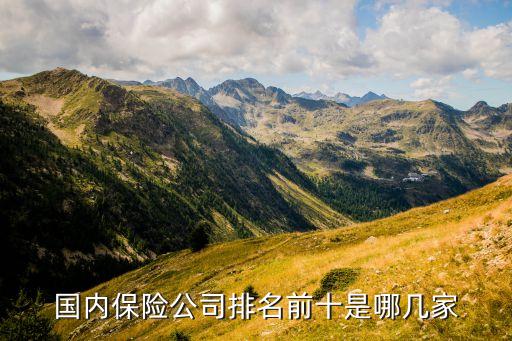國內(nèi)保險(xiǎn)公司排名前十是哪幾家