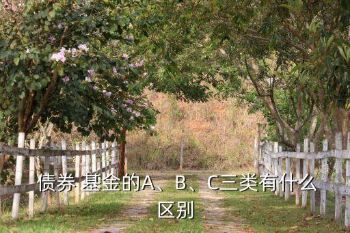  債券 基金的A、B、C三類有什么區(qū)別