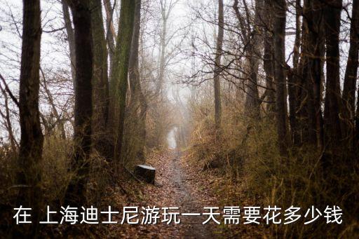 在 上海迪士尼游玩一天需要花多少錢(qián)