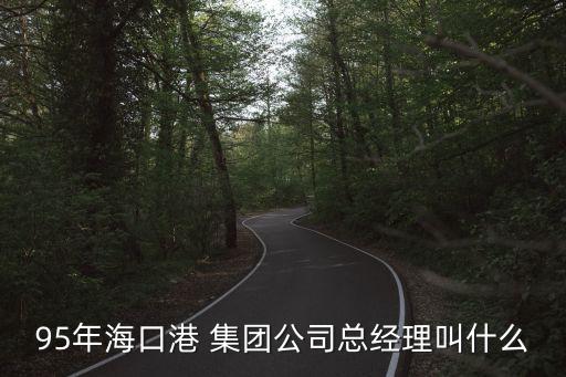 95年?？诟?集團公司總經理叫什么