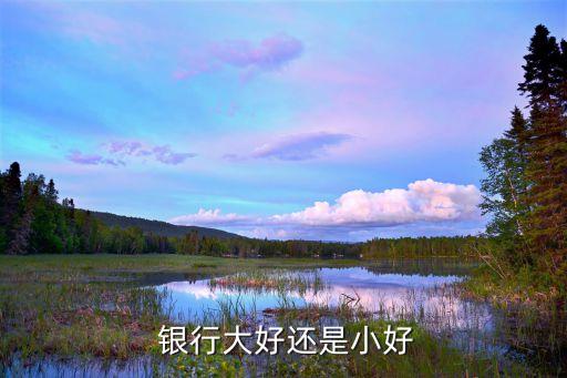 小銀行優(yōu)勢(shì),郵儲(chǔ)銀行的優(yōu)勢(shì)