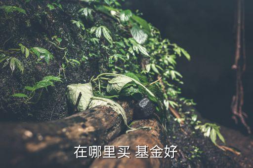 在哪里買(mǎi) 基金好