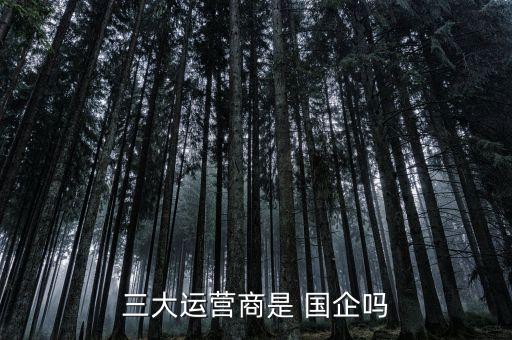 中國聯(lián)合網(wǎng)絡通信有限公司算國企么