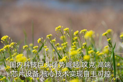 國(guó)內(nèi)科技巨頭強(qiáng)勢(shì)崛起,攻克 高端 芯片設(shè)備,核心技術(shù)實(shí)現(xiàn)自主可控