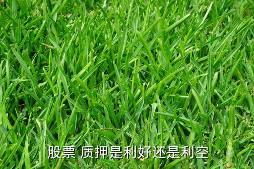  股票 質押是利好還是利空