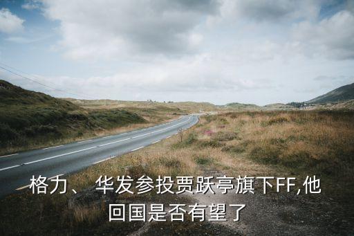 格力、 華發(fā)參投賈躍亭旗下FF,他回國是否有望了