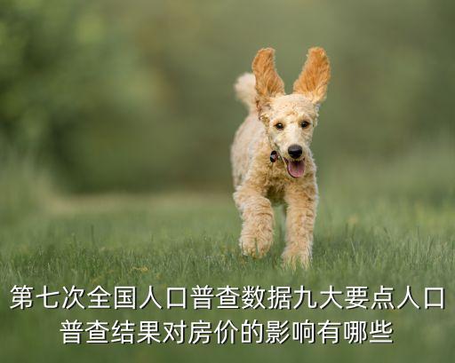 第七次全國人口普查數(shù)據(jù)九大要點(diǎn)人口普查結(jié)果對房價(jià)的影響有哪些