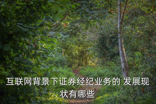 互聯(lián)網(wǎng)背景下證券經(jīng)紀業(yè)務的 發(fā)展現(xiàn)狀有哪些