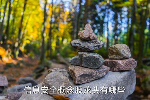 北京立思辰網(wǎng)絡技術有限公司,立思辰計算機技術有限公司
