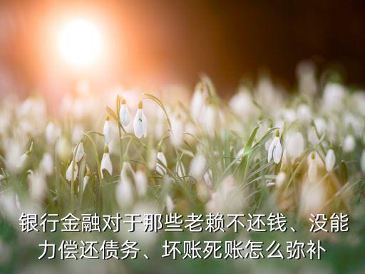  銀行金融對(duì)于那些老賴(lài)不還錢(qián)、沒(méi)能力償還債務(wù)、壞賬死賬怎么彌補(bǔ)