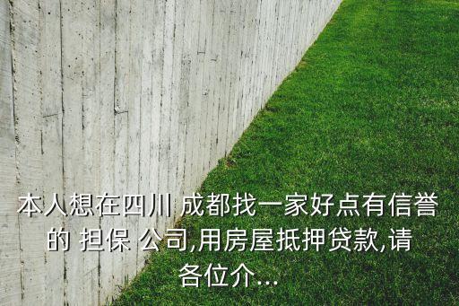本人想在四川 成都找一家好點(diǎn)有信譽(yù)的 擔(dān)保 公司,用房屋抵押貸款,請各位介...