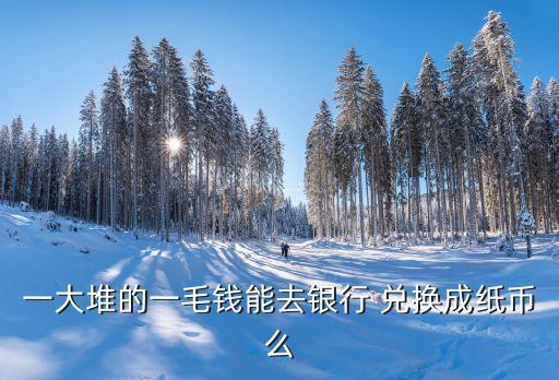 一大堆的一毛錢(qián)能去銀行 兌換成紙幣么