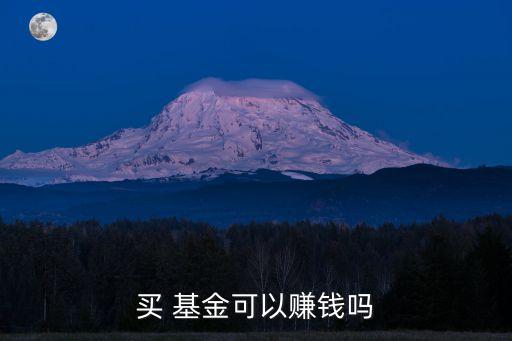買 基金可以賺錢嗎