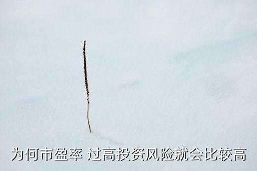 為何市盈率 過高投資風(fēng)險就會比較高