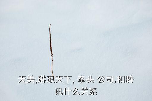 天美,琳瑯天下, 拳頭 公司,和騰訊什么關(guān)系