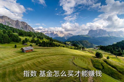 指數(shù)基金購(gòu)買技巧,定投指數(shù)基金的技巧和方法