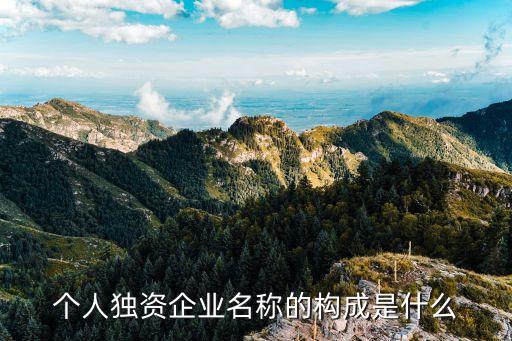 個人獨資企業(yè)名稱的構(gòu)成是什么