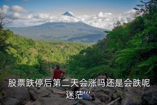  股票跌停后第二天會漲嗎還是會跌呢迷?！? class=