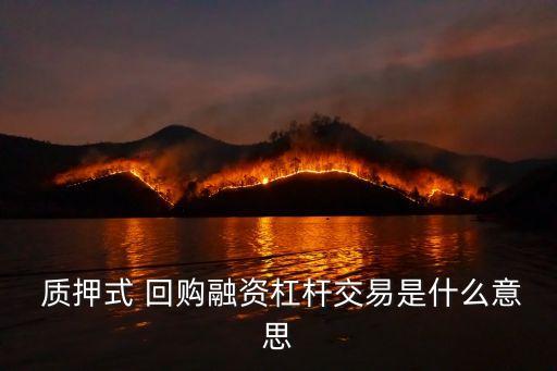 什么是股票質押式回購業(yè)務