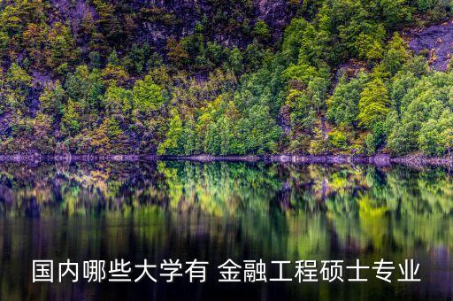 國內(nèi)哪些大學有 金融工程碩士專業(yè)