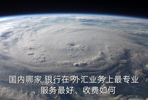 國(guó)內(nèi)哪家 銀行在 外匯業(yè)務(wù)上最專業(yè)、服務(wù)最好、收費(fèi)如何