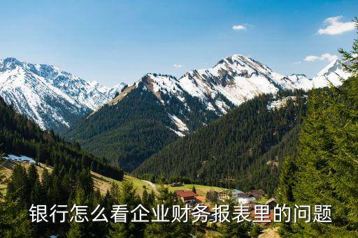  銀行怎么看企業(yè)財務報表里的問題