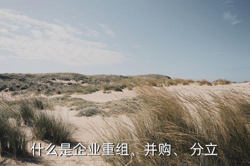 什么是企業(yè)重組、并購、 分立